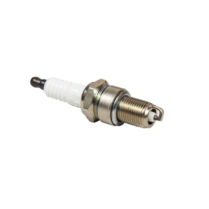 تصویر از سرویس1